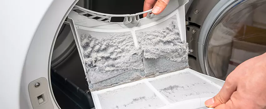Best Dryer Lint Removal Company in Riverbank, California