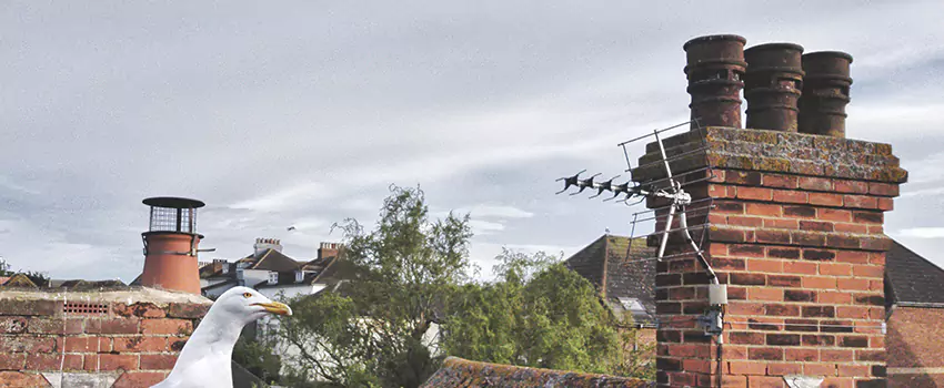 Chimney Cleaning And Restoration in Riverbank, California